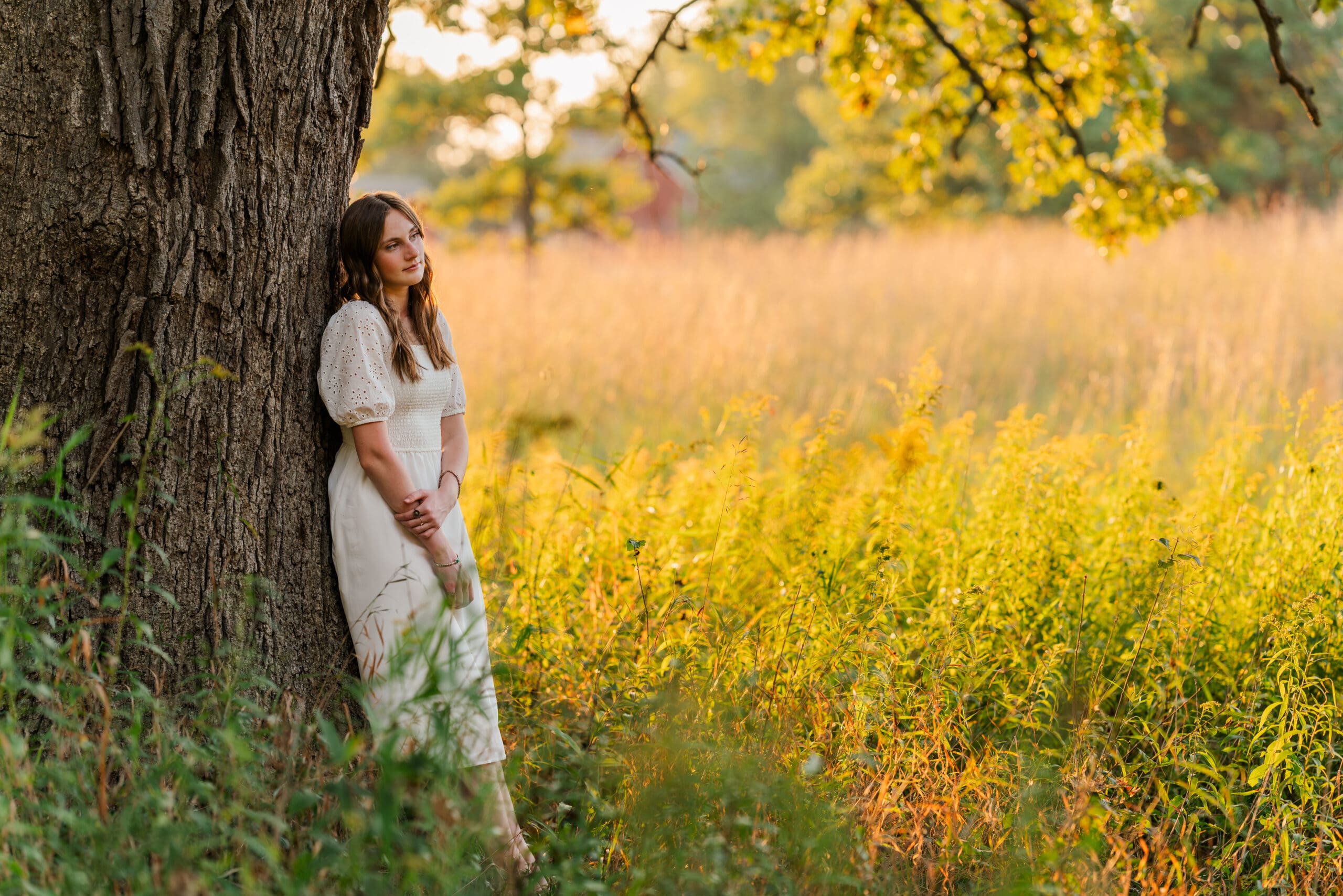 A senior girl in a white dress in a field with the sunset behind her, taken by Laura Lu Photography.